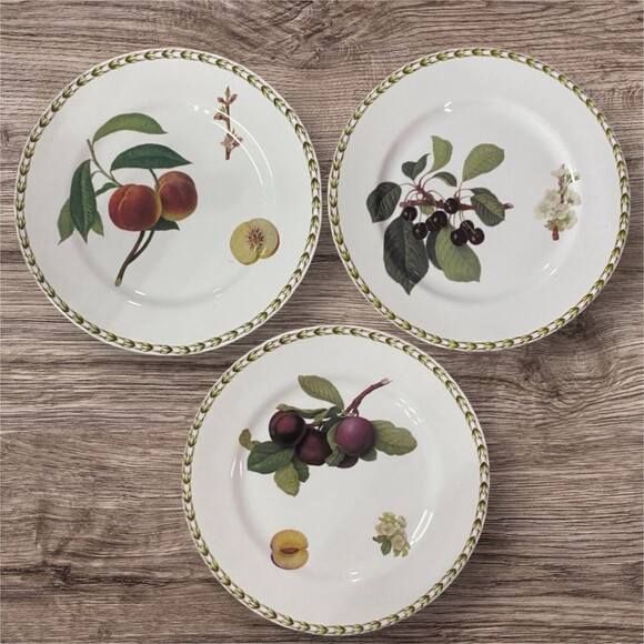 Queen's Fine China Hookers Fruit Horticulture 3 Salad Or Dessert Plates 8 5/8” - Picture 1 of 7